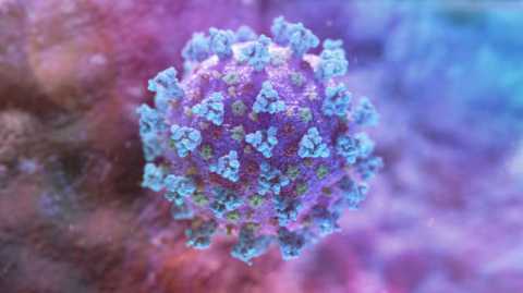 Coronavirus, in Puglia 9 nuovi casi: positivo lo 0,49% dei tamponi